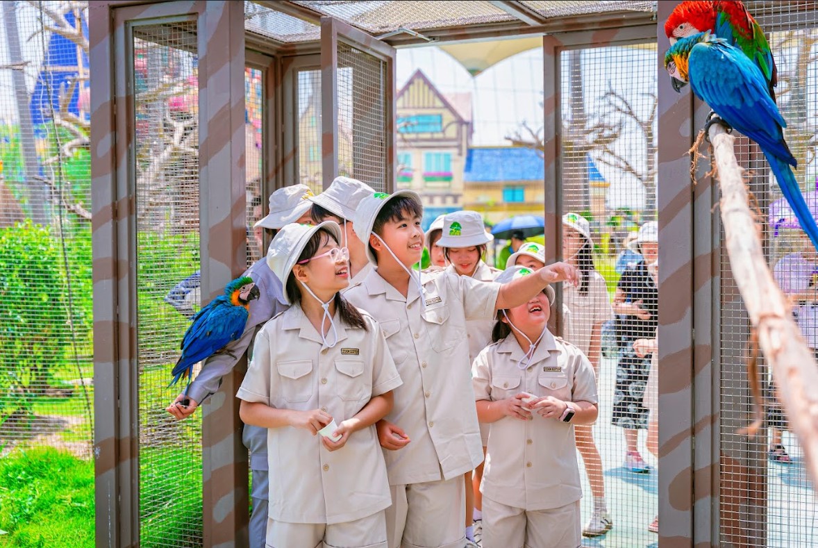 Tham quan vương quốc thú Safari Vũ Yên